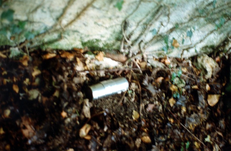 sculpture 32 abandonn&eacute;e.