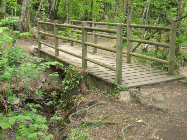 Petit pont en bois.